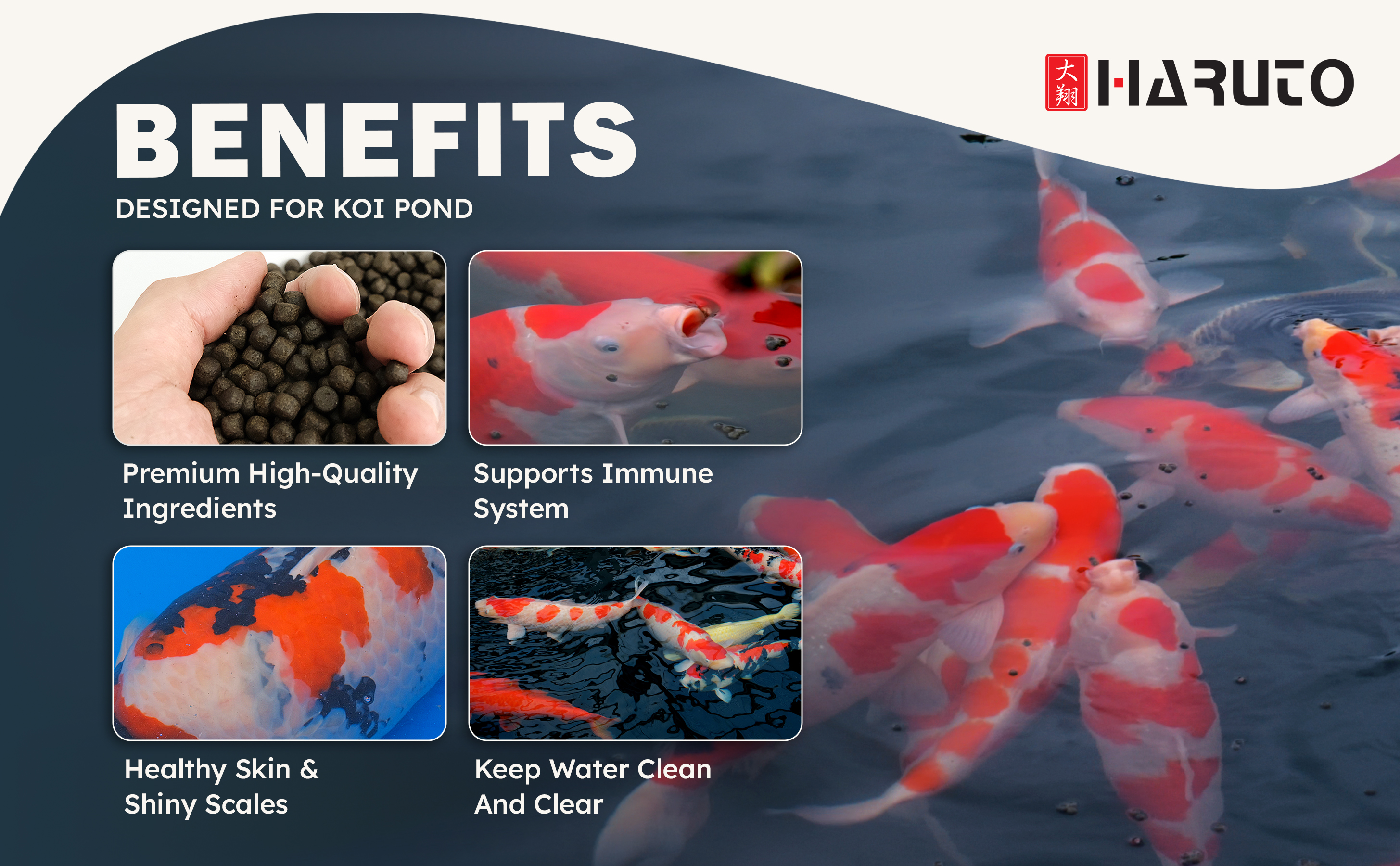 Haruto – premium ingredient selection