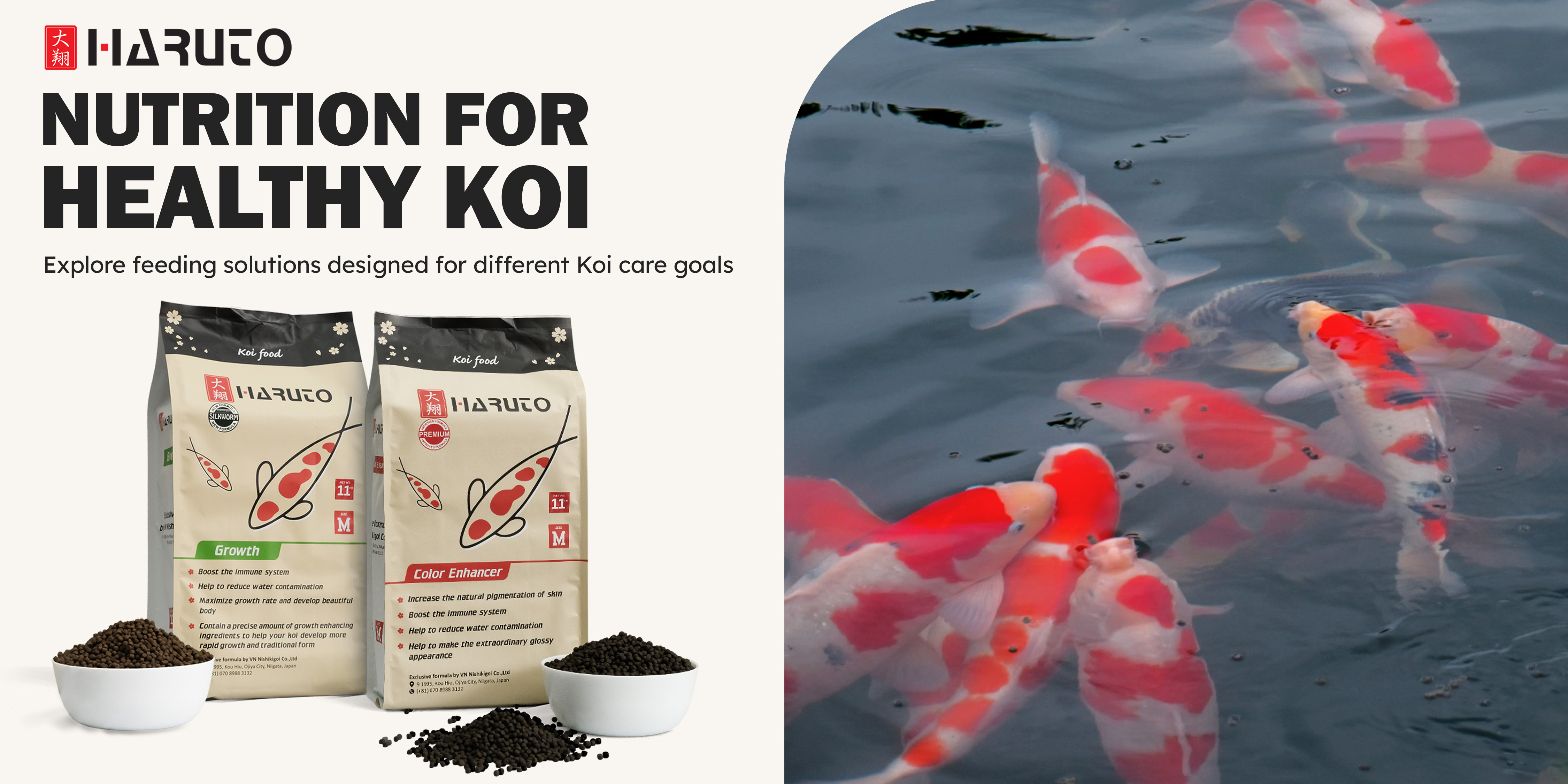 Haruto Koi Food - Nutrition for Healthy Koi